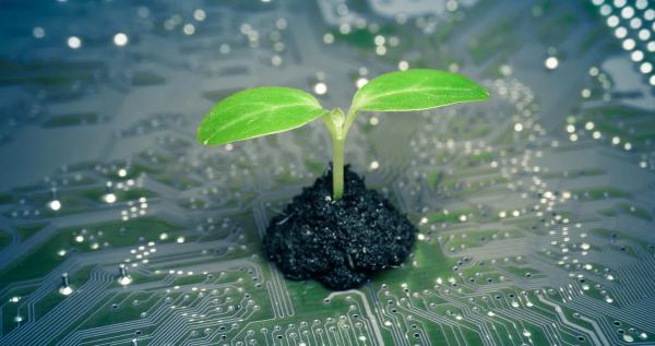 Understanding Green Computing: What It Is and Its Benefits